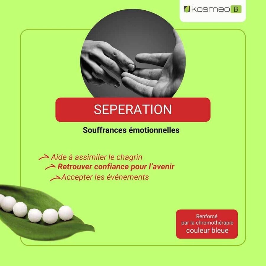 Kosmeo Fleurs de Bach Bio Séparation Bio 120 granules