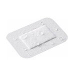 Lohmann Rauscher Curapor Clear and sterile surgical dressings 8x10cm x5 Lohmann Rauscher Curapor Clear and sterile surgical dressings 8x10cm x5