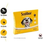 Scalibor Colier antiparazit pentru câini mari Lungime 65 cm Scalibor Colier antiparazit pentru câini mari Lungime 65 cm