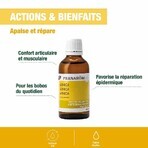 Pranarôm Organic Arnica Oil 50ml Pranarôm Organic Arnica Oil 50ml