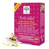 New Nordic Articular 60 Comprimes