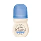 Cavaillès Absorb + Déodorant Roll-On Anti-Transpirant 48H 50ml
