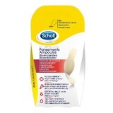 Scholl Small Blister Dressings für Zehen x6
