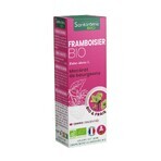 Santarome Bio Framboos Gémmothérapie 30ml Santarome Bio Framboos Gémmothérapie 30ml
