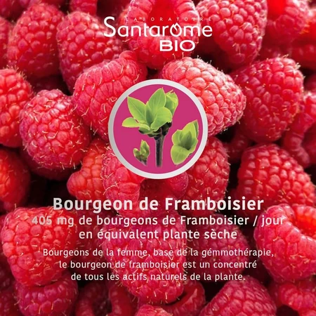 Santarome Organic Raspberry Gémmothérapie 30ml