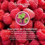 Santarome Bio Framboos Gémmothérapie 30ml Santarome Bio Framboos Gémmothérapie 30ml