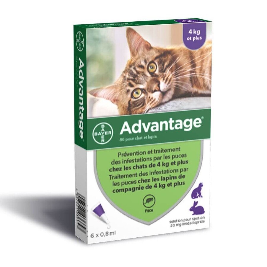 Advantage 80 Gatos y conejos grandes de más de 4 kg 6x0,8ml