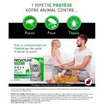 Frontline Combo Spot-on Gatto e Furetto 6 Pipette da 0,5 ml