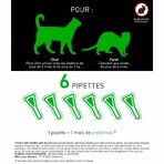 Frontline Combo Spot-on Gatto e Furetto 6 Pipette da 0,5 ml