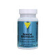 Vit&#39;All+ Biotici senior 30 capsule