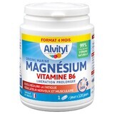 Alvityl Magnesium Vitamine B6 120 tabletten