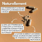 Kotor Pharma Nägel und Haare 60 Kapseln Kotor Pharma Nägel und Haare 60 Kapseln