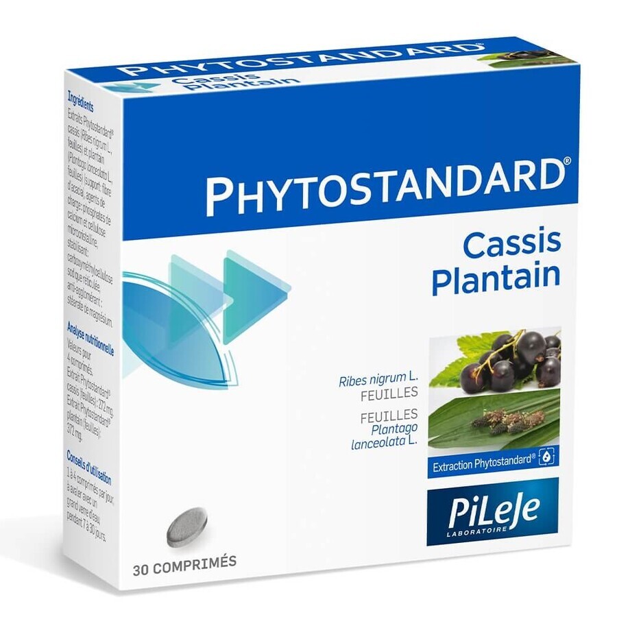 Buy Pileje Phytostandard Phytostandard Black Currant and Plantain 30 Tablets 30 comprimés Pileje Phytostandard Phytostandard Black Currant and Plantain 30 Tablets 30 comprimés