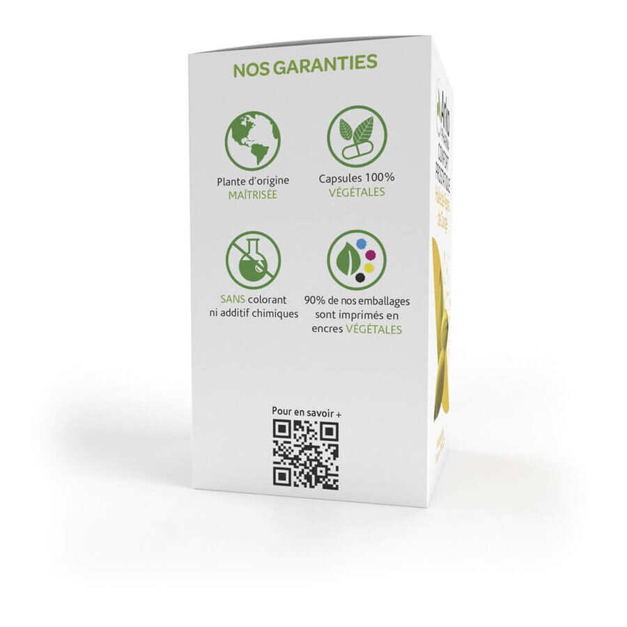 Arkopharma Arkocapsule Urinary Health Kürbiskernöl Bio 180 Kapseln