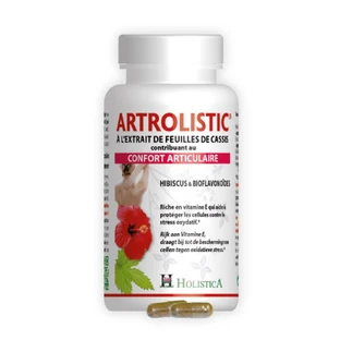 Holistic Bienestar Articular Artrolistic 60 cápsulas