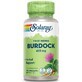 Bardana (Brusture) 425 mg Solaray, 100 c&#225;psulas, Secom