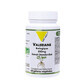 Vit&#39;All+ Standardisierter biologischer Baldrianextrakt 300 mg 60 Kapseln
