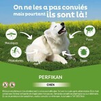 Clement-Thekan Pulci e zecche Cane 20-40kg 4 Pipette Clement-Thekan Pulci e zecche Cane 20-40kg 4 Pipette