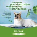 Clement-Thekan Pulci e zecche Cane 20-40kg 4 Pipette Clement-Thekan Pulci e zecche Cane 20-40kg 4 Pipette