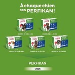 Clement-Thekan Pulci e zecche Cane 20-40kg 4 Pipette Clement-Thekan Pulci e zecche Cane 20-40kg 4 Pipette