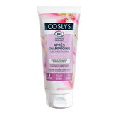 Coslys Sublime organische keratine conditioner Verzwakt en weerbarstig haar 200ml