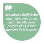 Baccide Gel Mains Desinfectant Hydroalcoolique Thé Vert Peaux Sensibles 30ml Baccide Gel Mains Desinfectant Hydroalcoolique Thé Vert Peaux Sensibles 30ml