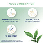 Baccide Gel Mains Desinfectant Hydroalcoolique Thé Vert Peaux Sensibles 30ml Baccide Gel Mains Desinfectant Hydroalcoolique Thé Vert Peaux Sensibles 30ml