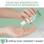 Baccide Gel Mains Desinfectant Hydroalcoolique Thé Vert Peaux Sensibles 30ml Baccide Gel Mains Desinfectant Hydroalcoolique Thé Vert Peaux Sensibles 30ml