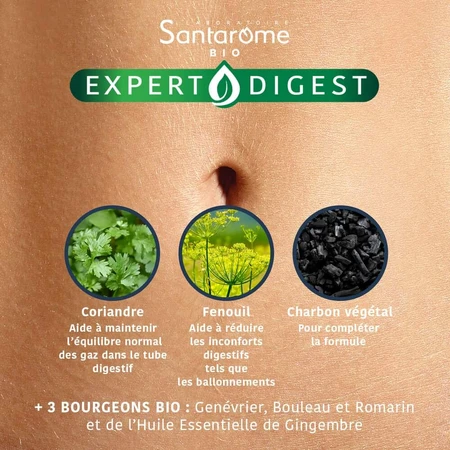 Santarome Expert Digest Gaz et Ballonnements Double Action 30 Gélules