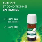 Phytosun Aroms Huile Essentielle Niaouli 10ml
