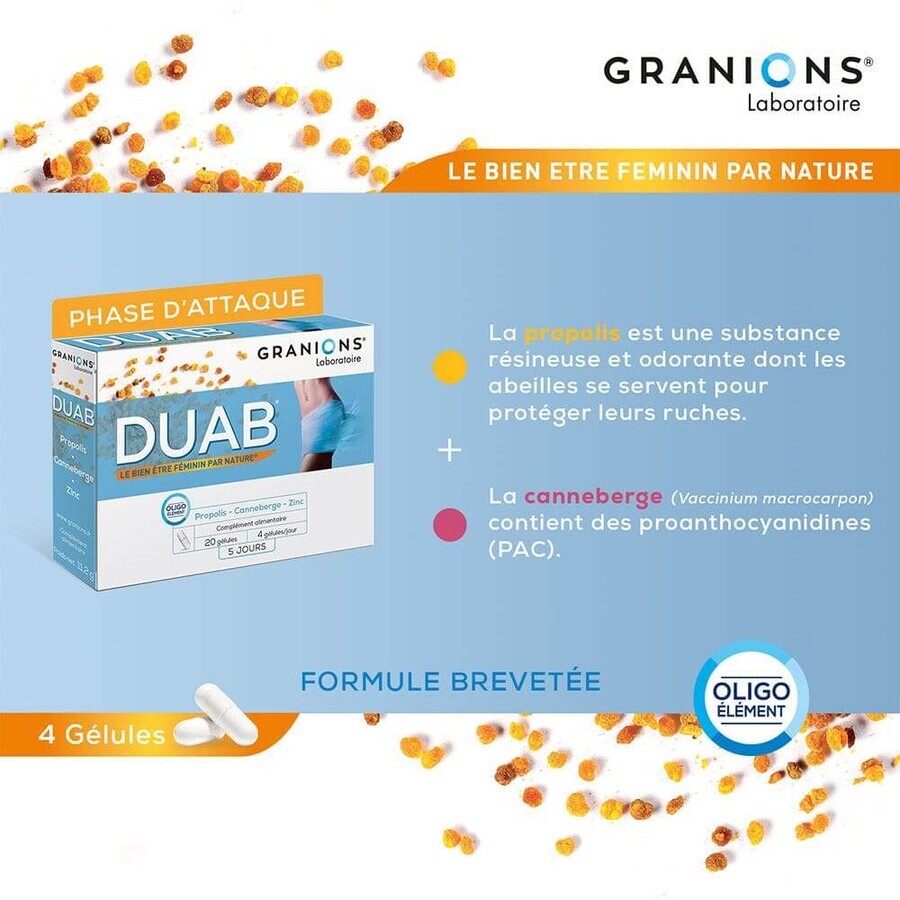 Granions Duab 20 Geluli