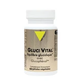 Vit'All+ Gluci Vital Equilibre glucidique 60 gélules