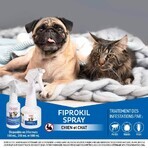 Clement-Thekan Fiprokil Spray per pulci e zecche cane e gatto 250ml Clement-Thekan Fiprokil Spray per pulci e zecche cane e gatto 250ml