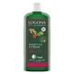 Logona Stärkendes Shampoo mit Koffein Bio 250ml
