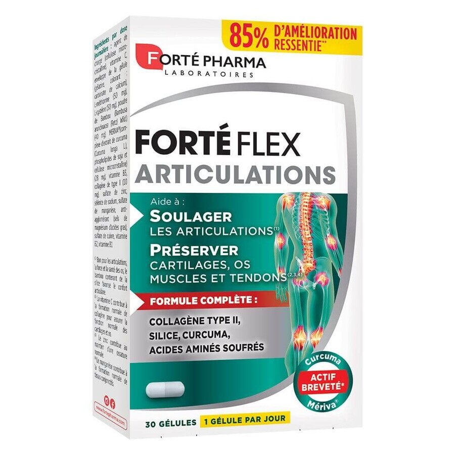 Forté Pharma Forté Flex Joints 30 gels