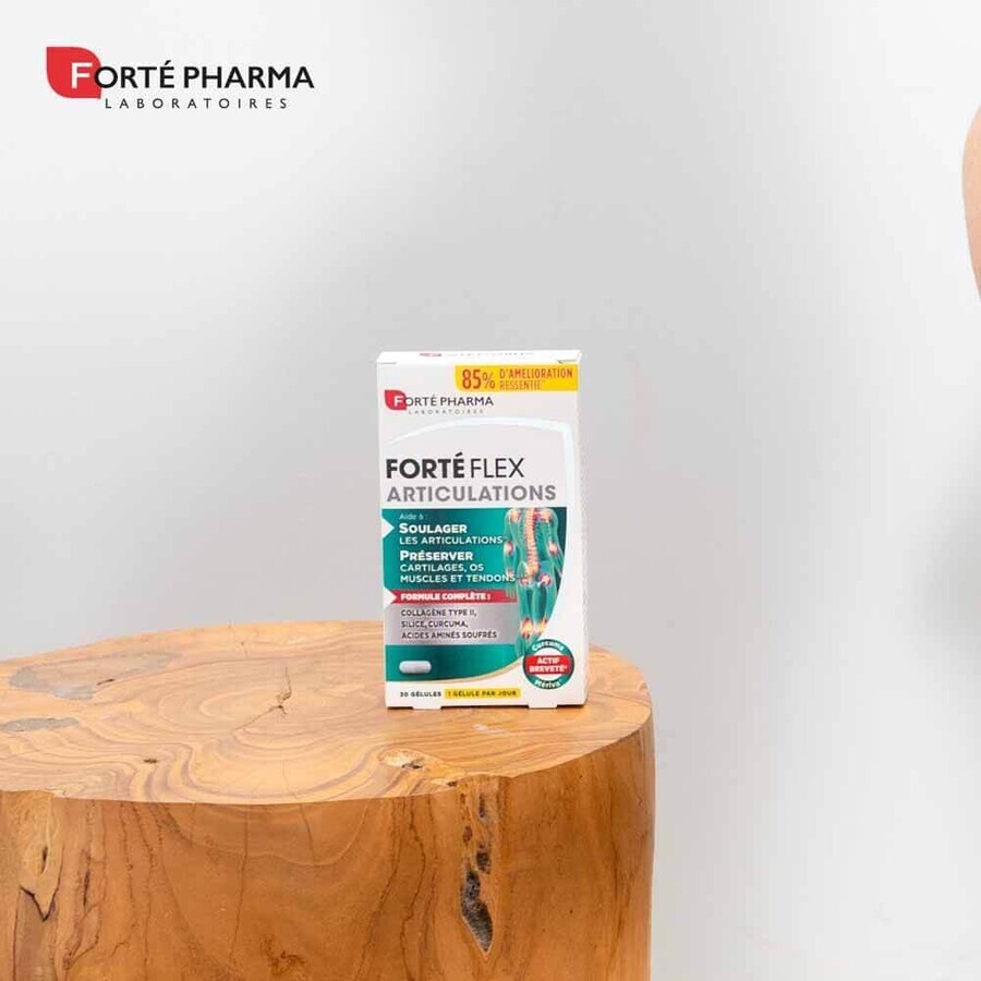 Forté Pharma Forté Flex Joints 30 gels