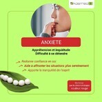 Kosmeo Fleurs de Bach Anxiété Bio 120 granules Kosmeo Fleurs de Bach Anxiété Bio 120 granules