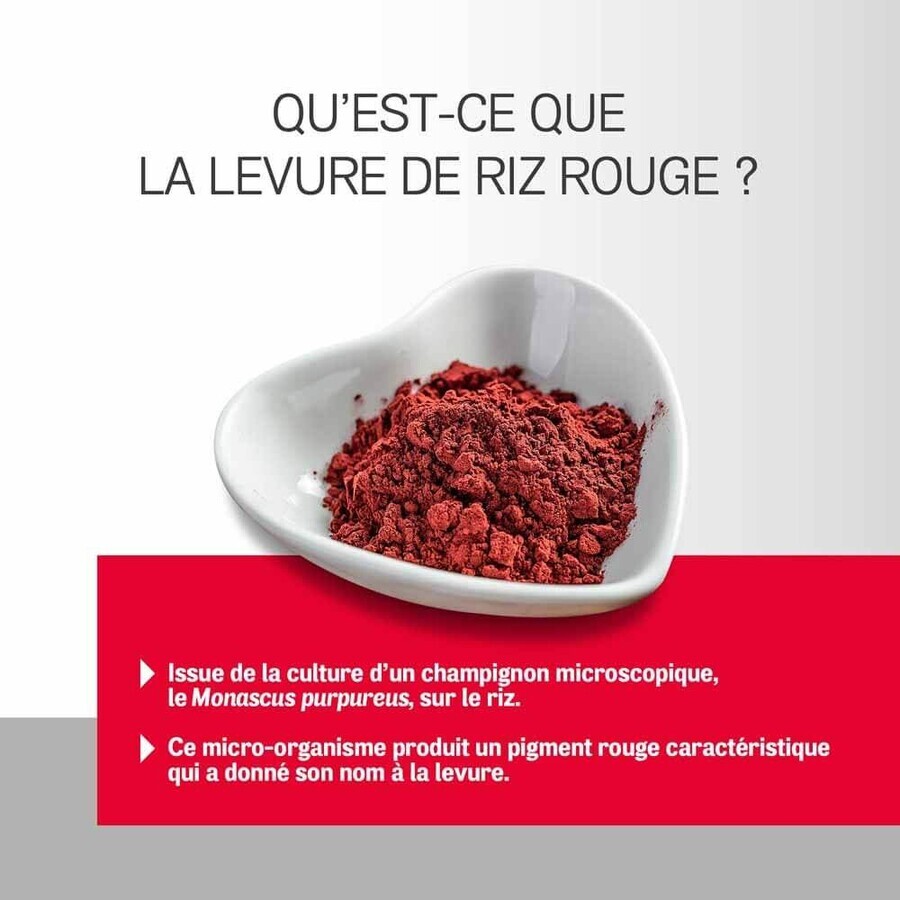 Omega Pharma Arterin Levure de Riz Rouge Pack éco x90 comprimés