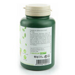 Nat&Form Nopal soppressore dell'appetito x200 capsule Nat&Form Nopal soppressore dell'appetito x200 capsule