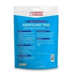 Clement-Thekan Denticare Trio Strisce masticabili per cani oltre 30 kg 15 strisce Clement-Thekan Denticare Trio Strisce masticabili per cani oltre 30 kg 15 strisce