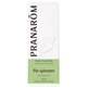 Pranarôm Essential Oils Aceite Esencial de Aguja de Pino 30 ml