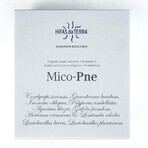 Hifas da Terra Mico-Pne 300ml + 30 gélules Hifas da Terra Mico-Pne 300ml + 30 gélules