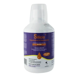 Phytoresearch Silicio Condroitina y Glucosamina 500ml