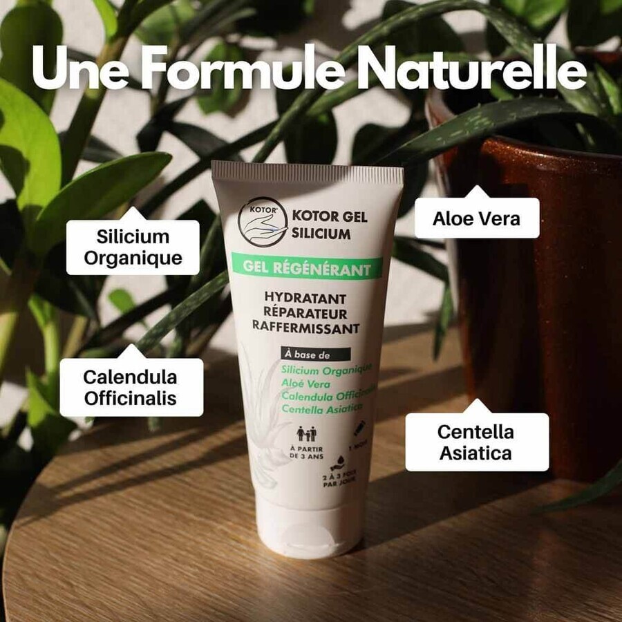 Kotor Pharma Gel Regenerador de Silicio 100 ml