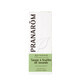 Pranar&#244;m Les Huiles Essentielles Huile Essentielle De Sauge A Feuilles De Lavande Bio Sommite Fleurie 10ml