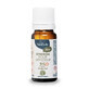 Neobulle hiver Synergie pour diffuseur 10ml