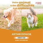 Clement-Thekan Senior Dog Joint 60 Tablets