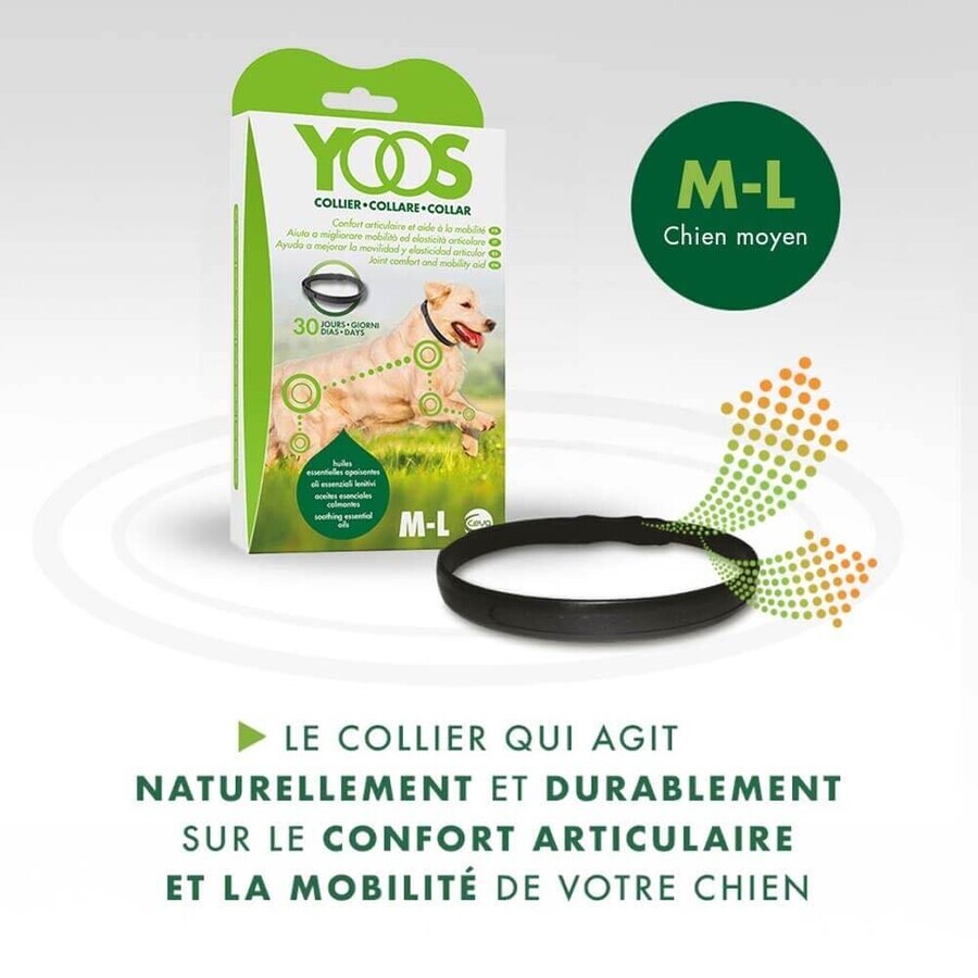 Ceva Yoos Collana Cane di taglia grande >10 kg Benessere articolare x1
