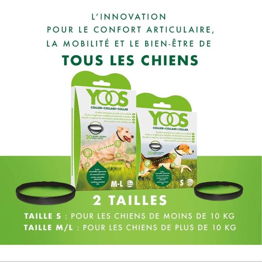Ceva Yoos Collana Cane di taglia grande >10 kg Benessere articolare x1