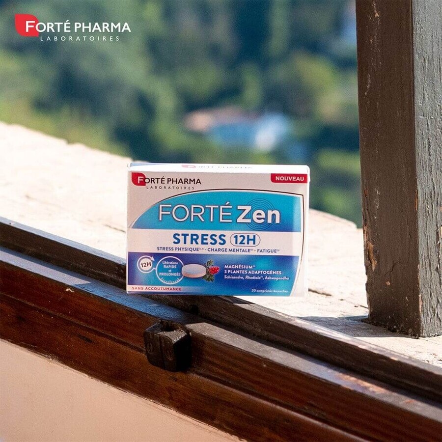 Forté Pharma Forté Zen Stress 12h con vitamina B6 y magnesio 20 comprimidos de doble capa